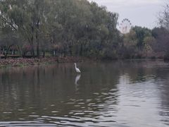 -西安浐灞国家湿地公园