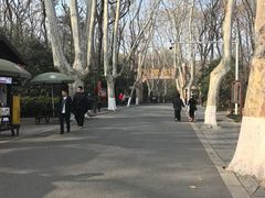 -灵谷景区