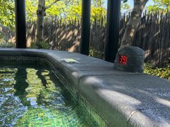 -广州从化都喜泰丽度假酒店温泉