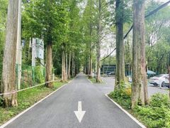-东明山森林公园