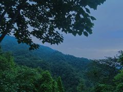 -青城山