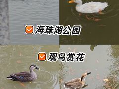 -海珠湖公园