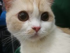 -北京赛佳动物医院