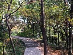 -同庆楼(滨湖万达广场店)