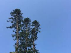 -鼓浪屿钢琴博物馆