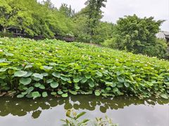 -成都市文化公园