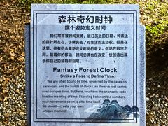 -广州市帽峰山景区