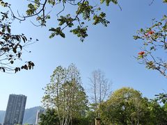 -飞来湖湿地公园