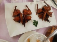沙田乳鸽-宝燕壹号(徐汇店)