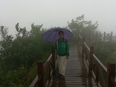 -大岭沟猕猴桃谷风景区