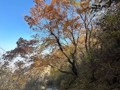 -阳台山自然风景区