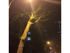 -东方之珠洗浴休闲广场(南开店)