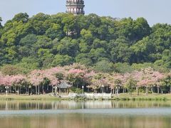 -顺峰山公园