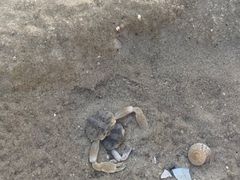 -北海金海湾红树林生态旅游区