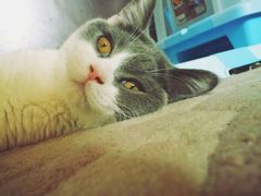 -辛玛王国游乐园