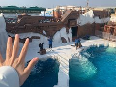 -秦皇岛乐岛海洋王国