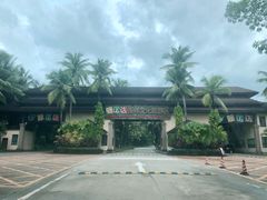 -呀诺达热带雨林
