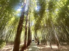 -同里国家湿地公园