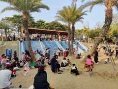 -宝安西湾红树林湿地公园