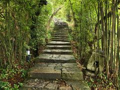 -江心屿景区