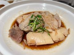 -山东老家(科韵分店)