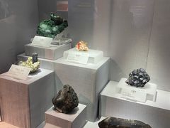 -湖南省地质博物馆