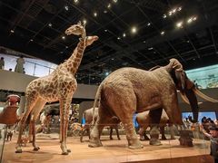 -陕西自然博物馆