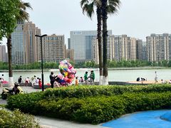 -金沙湖公园