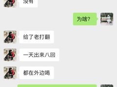 -多乐狗狗宠物训练工作室