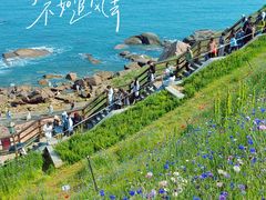 -燕儿岛山公园