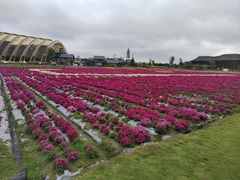 -中国天府农业博览园