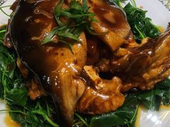 河豚-全聚德(扬州虹桥坊店)