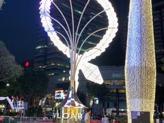 -爱雍·乌节