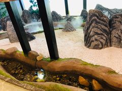 -渔家大院·地道威海菜(石岛店)