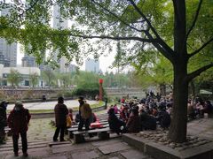 -成都市活水公园