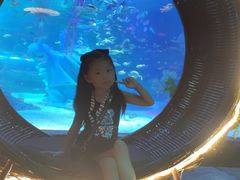 -沈阳海洋探索中心