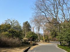 -杭州植物园