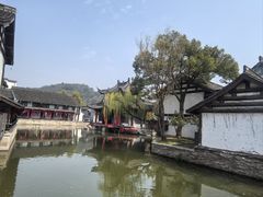 -鲁镇