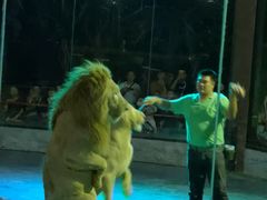 -清迈夜间动物园