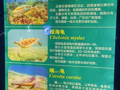 -青岛海底世界-水族馆