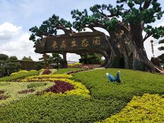 -长廊欢乐园