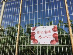 -大连北马山庄