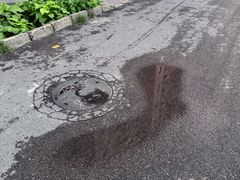 -阳光国际游泳培训基地