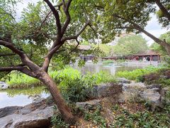 -顺峰山公园