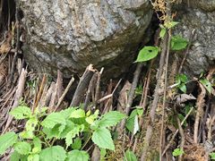 -西岭雪山大飞水景区