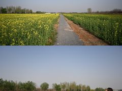 -汉长安城未央宫国家考古遗址公园