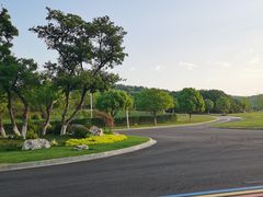-羊山湖公园