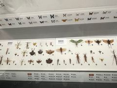 -四川大学博物馆