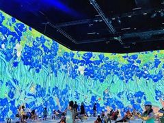 -成都梵高星空艺术馆(春熙路旗舰店)