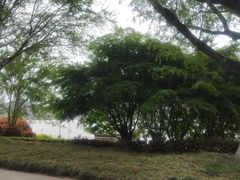 -云龙湖旅游景区